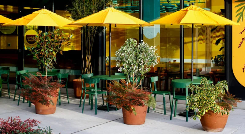 Outdoor Polypropylene Dining Chairs