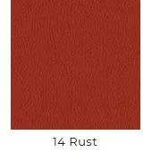 Rust Vinyl