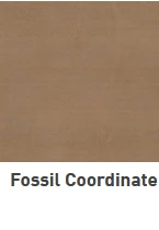 Fossil