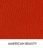 Naugahyde Spirit Millennium Vinyl American Beauty