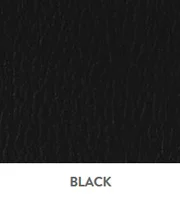 Naugahyde Spirit Millennium Vinyl Black