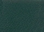 Green Vinyl