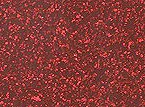 Zodiac Glitter Burgundy Red Vinyl